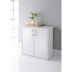 Lokken 2 Door Cupboard