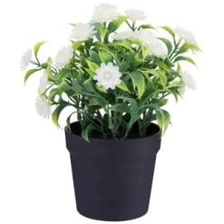 Bloom Daisies In Pot - White -Home Living Deals Store 392825 daisies in pot
