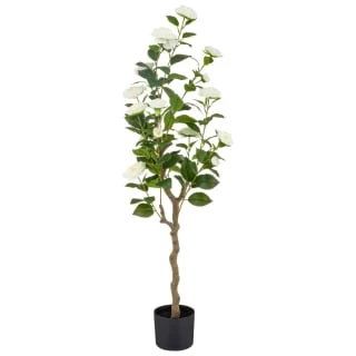 Bloom Rose Tree - White 1 Bloom Rose Tree - White
