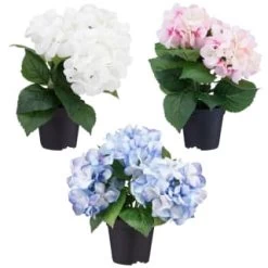Bloom Hydrangea In Pot - Pink -Home Living Deals Store 392961 hydrangea in pot group1